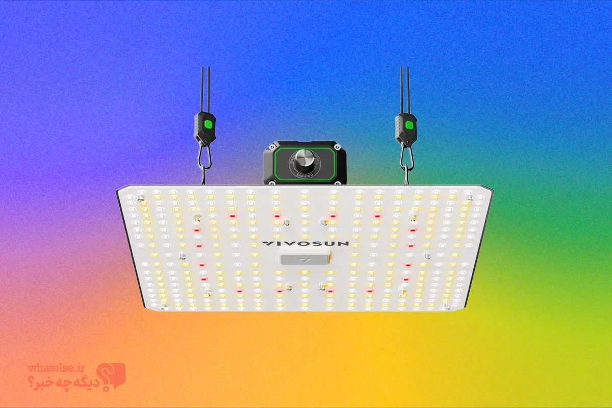 بهترین چراغ‌های رشد گیاه LED برای گیاهان آپارتمانی در زمستان (۲۰۲۶)